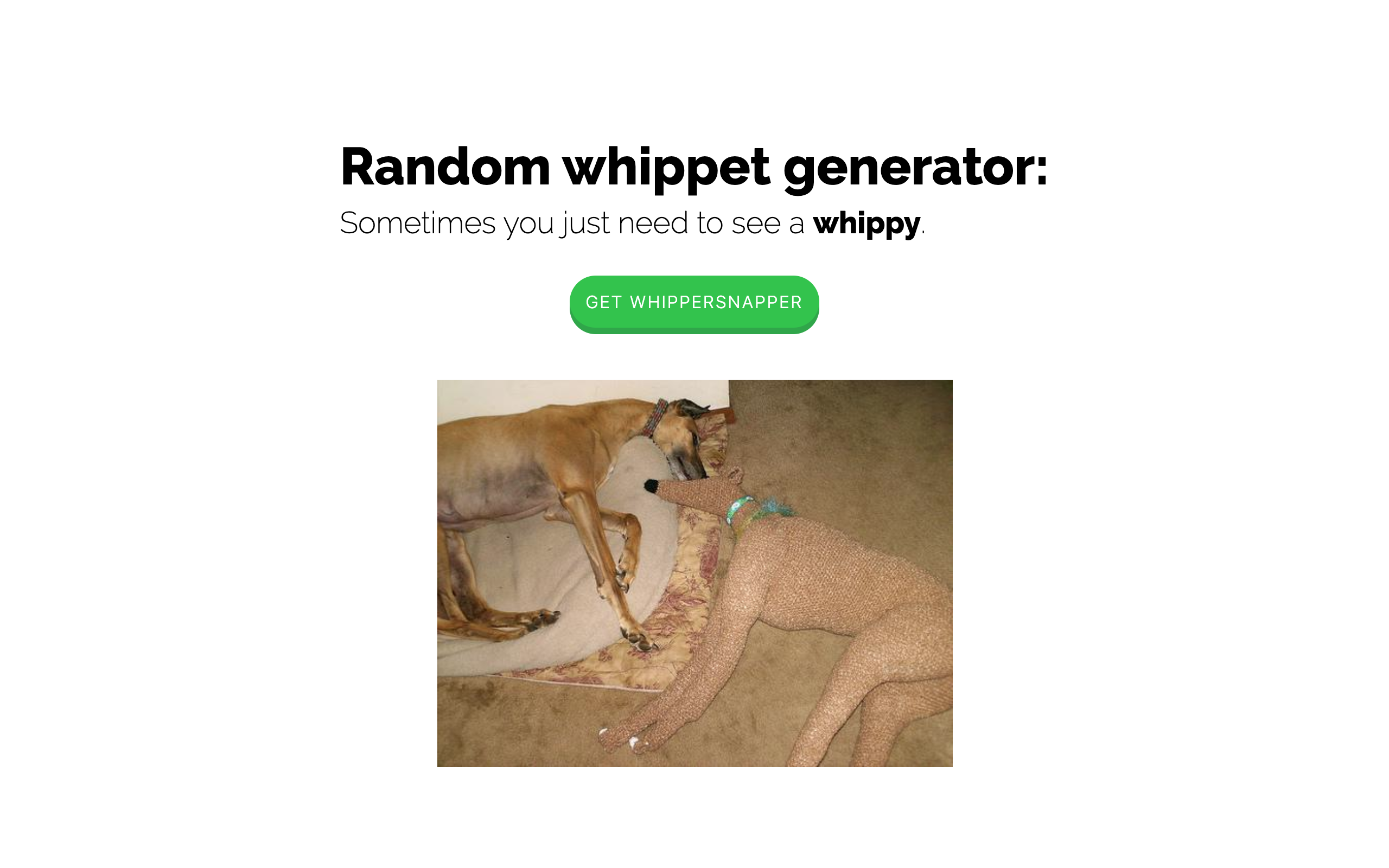 whippet generator